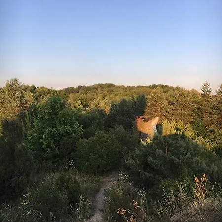 Inn Euforia & Restauracja Spichlerz